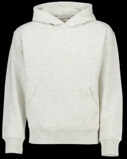 Zeeman Truien & Vesten|Truien & Vesten^Hoodie - Grijs