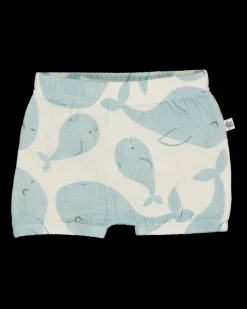 Zeeman Broeken^Short - Multi-color