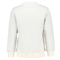 Zeeman Truien & Vesten|Truien & Vesten^Sweater - Grijs