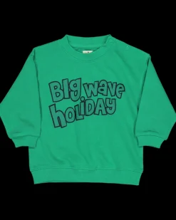 Zeeman Truien & Vesten^Sweater - Groen