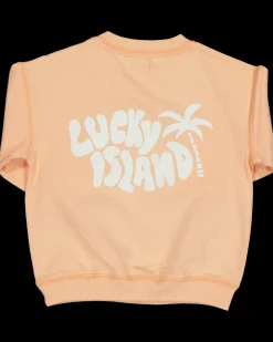 Zeeman Truien & Vesten^Sweater - Roze