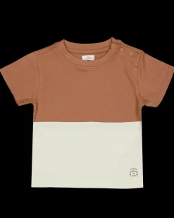 Zeeman Shirts^T-shirt - Bruin