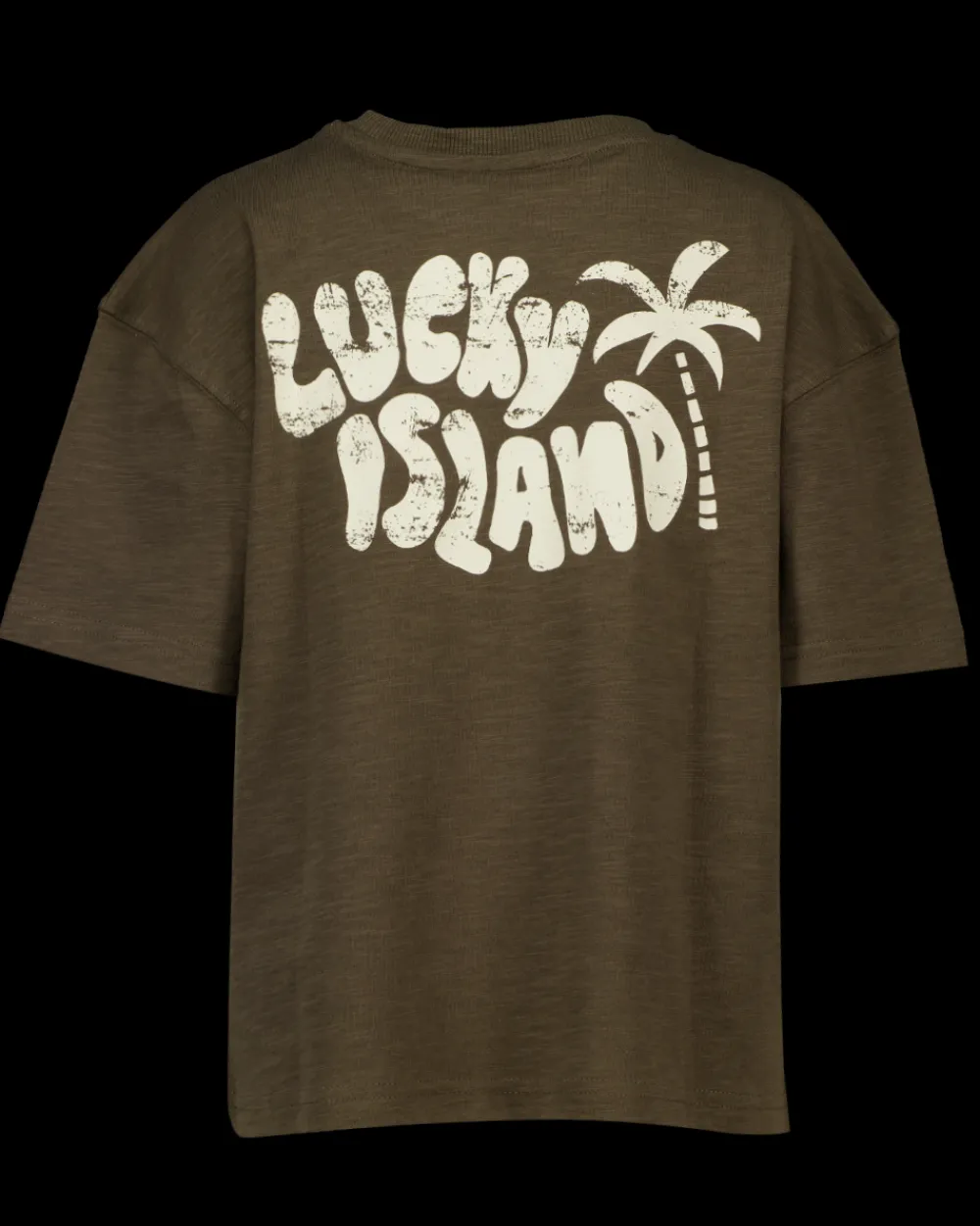 Zeeman Shirts^T-shirt - Bruin