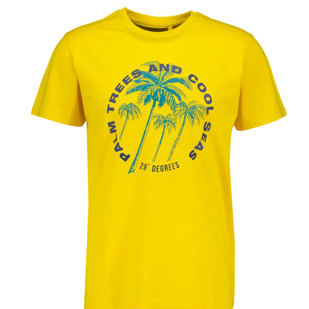 Zeeman T-shirts & Polo's^T-shirt - Geel